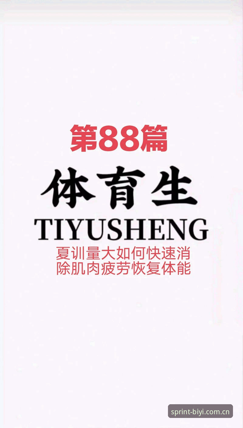 必一体育安装教程及高效使用技巧全攻略